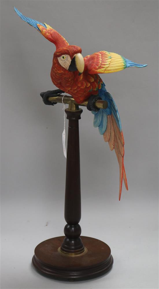 A Border Fine Arts model of a Macaw by Richard Roberts, H 20ins